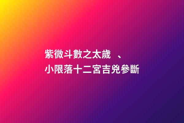 紫微斗數之太歲、小限落十二宮吉兇參斷